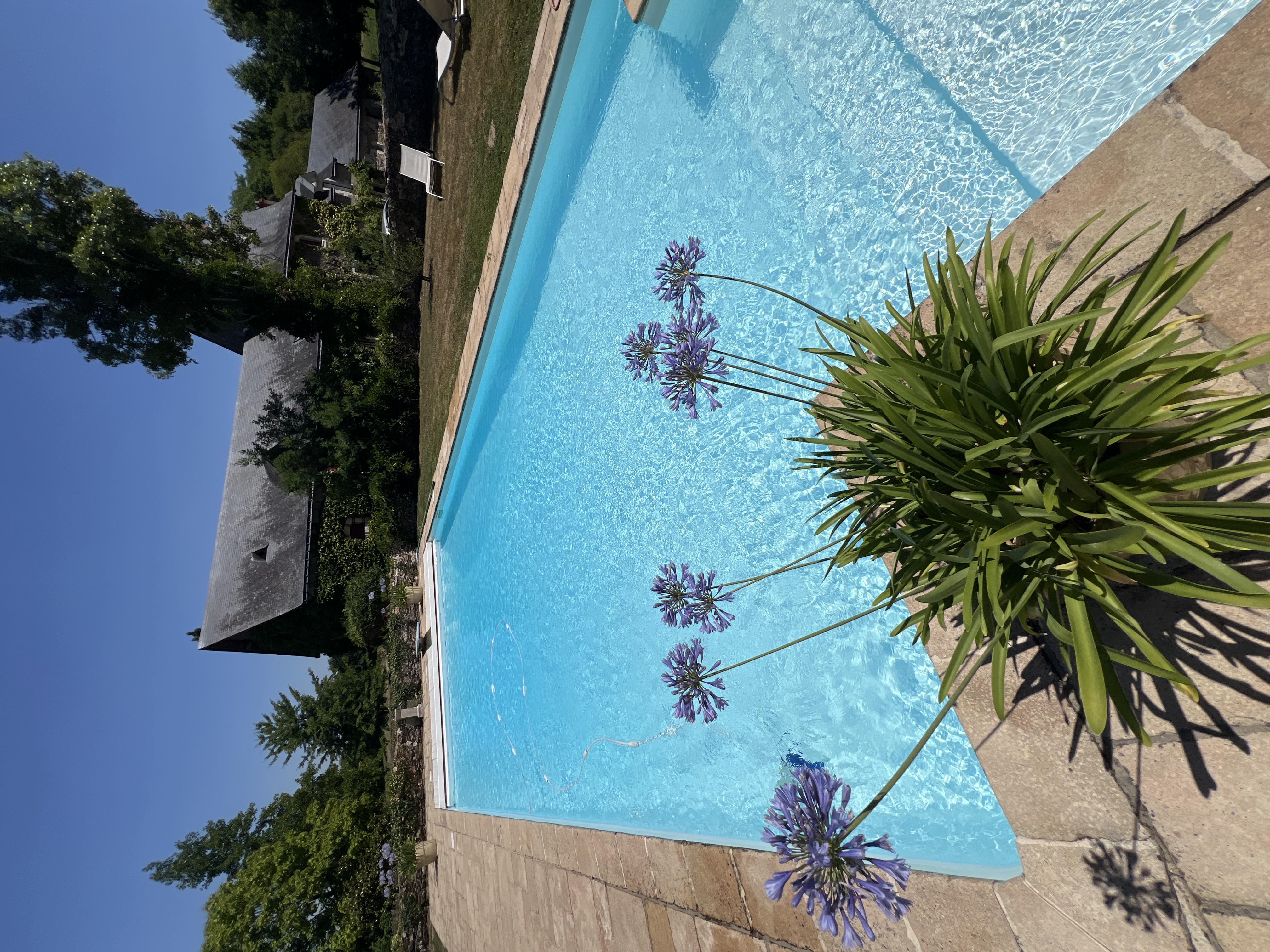 Piscine entretenue par Quality Piscine Angers